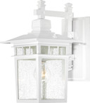 Exterior Wall Mount by Nuvo Lighting ( 72 | 60-4957 Cove Neck ) 