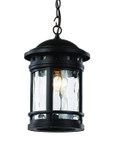 Exterior Wall Mount by Trans Globe Imports ( 110 | 40375 RT Boardwalk ) 