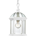 Exterior Hanging by Nuvo Lighting ( 72 | 60-4977 Boxwood ) 