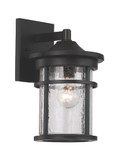 Exterior Wall Mount by Trans Globe Imports ( 110 | 40380 BK Avalon ) 