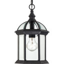 Exterior Hanging by Nuvo Lighting ( 72 | 60-4979 Boxwood ) 