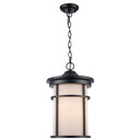 Exterior Hanging by Trans Globe Imports ( 110 | 40386 BK-FR ) 