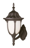 Exterior Wall Mount by Trans Globe Imports ( 110 | 4041 BK Hamilton ) 