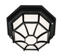 Exterior Ceiling Mount by Trans Globe Imports ( 110 | 40581 BK Benkert ) 