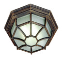 Exterior Ceiling Mount by Trans Globe Imports ( 110 | 40582 RT Benkert ) 