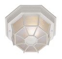 Exterior Ceiling Mount by Trans Globe Imports ( 110 | 40582 WH Benkert ) 