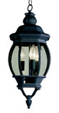 Exterior Hanging by Trans Globe Imports ( 110 | 4066 BK Parsons ) 