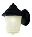 Exterior Wall Mount by Trans Globe Imports ( 110 | 4160 BK Dale ) 