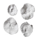 Home Accents Dimensional Wall Art by Uttermost ( 52 | 20170 Sea Coral ) 
