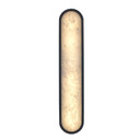 Sconces Pocket by Trans Globe Imports ( 110 | LED-22654 BK Minerva ) 