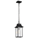 Exterior Hanging by Nuvo Lighting ( 72 | 60-5996 Austen ) 