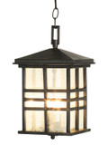 Exterior Hanging by Trans Globe Imports ( 110 | 4638 BK Huntington ) 