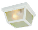 Exterior Ceiling Mount by Trans Globe Imports ( 110 | 4902 WH Samantha ) 