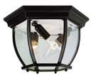Exterior Ceiling Mount by Trans Globe Imports ( 110 | 4906 BK Angelus ) 