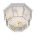 Exterior Ceiling Mount by Trans Globe Imports ( 110 | 4906 WH Angelus ) 