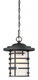 Exterior Hanging by Nuvo Lighting ( 72 | 60-6405 Lansing ) 