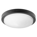 Fans Light Kits by Quorum ( 19 | 8-208-59 Titus ) 
