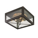 Exterior Ceiling Mount by Troy Lighting ( 67 | C6440-VBZ Randolph ) 