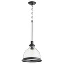 Pendants Glass Down by Quorum ( 19 | 6193-12-69 Ring Lighting Series ) 
