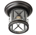 Exterior Ceiling Mount by Trans Globe Imports ( 110 | 5128 ROB Chandler ) 