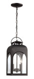 Exterior Hanging by Trans Globe Imports ( 110 | 51283 BK ) 