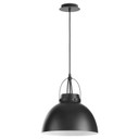 Pendants Metal Shade by Quorum ( 19 | 823-59 Picture Lights ) 