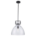 Pendants Glass Down by Trans Globe Imports ( 110 | PND-2228 BK Ameranth ) 