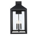 Exterior Wall Mount by Trans Globe Imports ( 110 | 51533 BK Tempest ) 