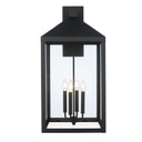 Exterior Wall Mount by Trans Globe Imports ( 110 | 51534 BK Tempest ) 