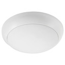 Fans Light Kits by Quorum ( 19 | 8-41655-8 Fury ) 