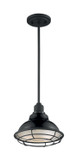Exterior Hanging by Nuvo Lighting ( 72 | 60-7003 Newbridge ) 