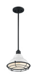 Exterior Hanging by Nuvo Lighting ( 72 | 60-7023 Newbridge ) 