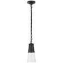 Mini Pendants Glass Down by Visual Comfort Signature ( 268 | TOB 5751BZ-CG Robinson ) 