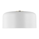 Flush Mounts Cage Style by Visual Comfort Studio ( 454 | 7705401EN3-115 Malone ) 