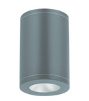 Exterior Ceiling Mount by W.A.C. Lighting ( 34 | DS-CD0622-N30-GH Tube Arch ) 