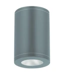 Exterior Ceiling Mount by W.A.C. Lighting ( 34 | DS-CD0834-F30-GH Tube Arch ) 