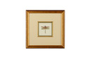 Home Accents Prints/Photography by Wildwood ( 460 | 386610 Chelsea House Misc ) 