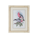 Home Accents Prints/Photography by Wildwood ( 460 | 387190 Chelsea House Misc ) 