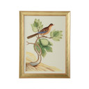 Home Accents Prints/Photography by Wildwood ( 460 | 387215 Bill Cain ) 