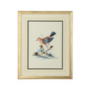 Home Accents Prints/Photography by Wildwood ( 460 | 387224 Bill Cain ) 