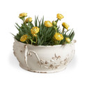 Home Accents Flowers/Greenery by Wildwood ( 460 | 380765 Chelsea House Misc ) 