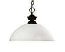 Pendants Glass Down by Z-Lite ( 224 | 100701BRZ-DMO14 Chance ) 