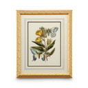 Home Accents Prints/Photography by Wildwood ( 460 | 386096 Chelsea House Misc ) 
