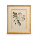Home Accents Prints/Photography by Wildwood ( 460 | 386175 Chelsea House Misc ) 