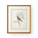 Home Accents Prints/Photography by Wildwood ( 460 | 386343 Chelsea House Misc ) 