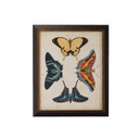 Home Accents Prints/Photography by Wildwood ( 460 | 386517 Chelsea House Misc ) 