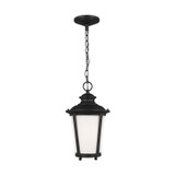 Exterior Hanging by Generation Lighting ( 1 | 62240-12 Cape May ) 