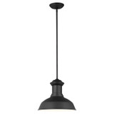 Exterior Hanging by Generation Lighting ( 1 | 6247701-12 Fredricksburg ) 