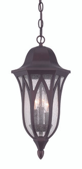 Exterior Hanging by Acclaim Lighting ( 106 | 39816ABZ Milano ) 