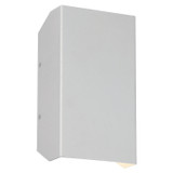 Exterior Wall Mt./Flush by Access ( 18 | 20018LEDDMG-SAT Amora ) 